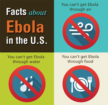 Picture of a ebola transmission infographic